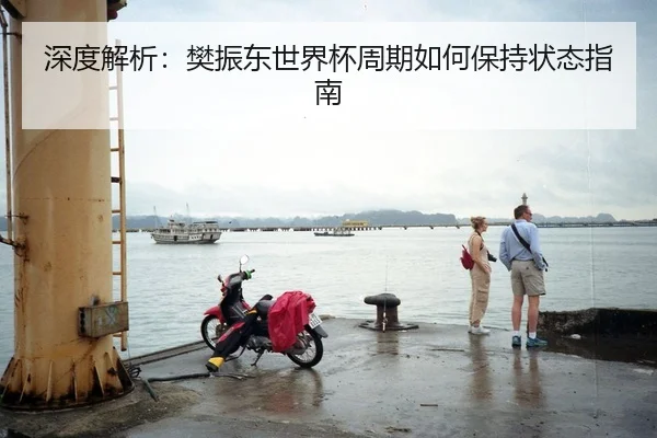 深度解析：樊振东世界杯周期如何保持状态指南